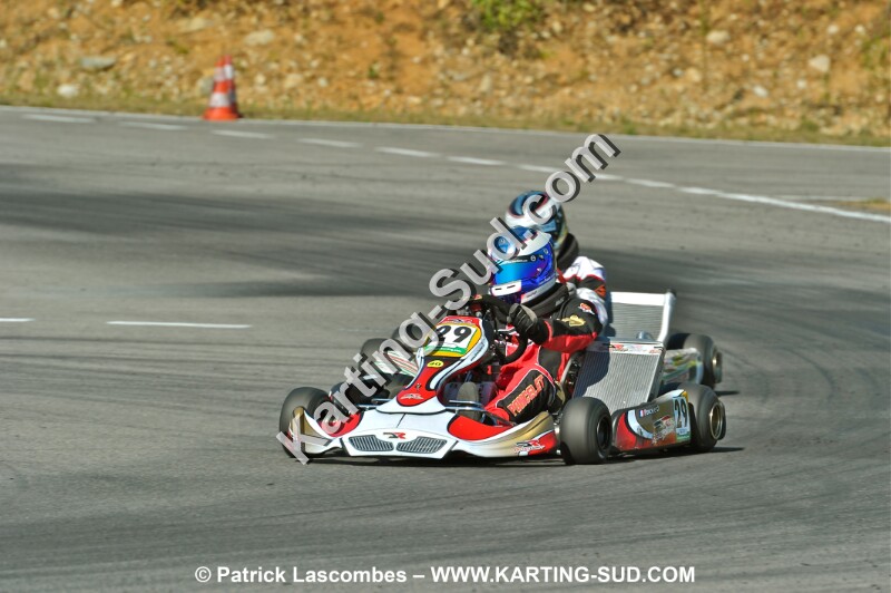DSC_ (1155).JPG
